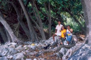 Almendros en la playa San Rafael